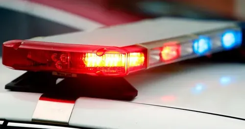 Two Mothers Arrested After Three Children Found in Hot Car at Redford Township Shopping Plaza