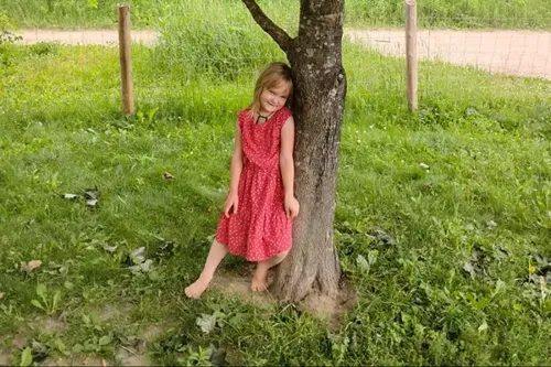 6-Year-Old Girl Bitten by Rabid Bat in Tigerton, Wisconsin