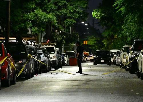 Eight Injured, Including Four Children, in Coney Island Cookout Shooting