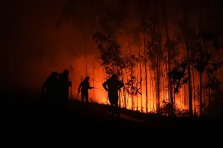 Wildfires in Southern Spain Claim 11 Lives as Emergency Response Intensifies