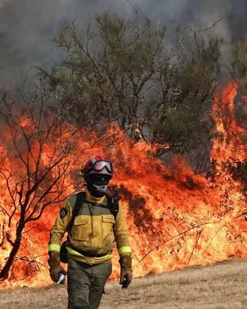 Wildfires in Southern Spain Claim 11 Lives as Emergency Response Intensifies