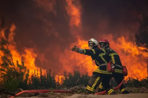 Wildfires in Southern Spain Claim 11 Lives as Emergency Response Intensifies