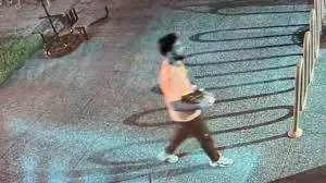 Missing Jordanian Athlete Found Safe in Chicago Suburb