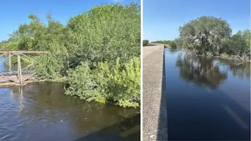 Live Oak County, Texas Prepares for Major Flood Risks as Nueces River Rises