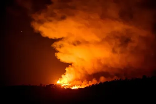 Body Found in Burned Home After California Wildfire, Suspect Arrested