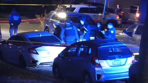 Tragic Stabbing Incident Claims Life of Woman in Avondale, Chicago