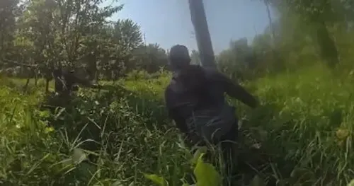 Three Rescued After Getting Lost in Remote Michigan Woods