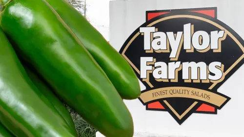 Taylor Farms Recalls Jalapeños Linked to Multi-State Salmonella Outbreak