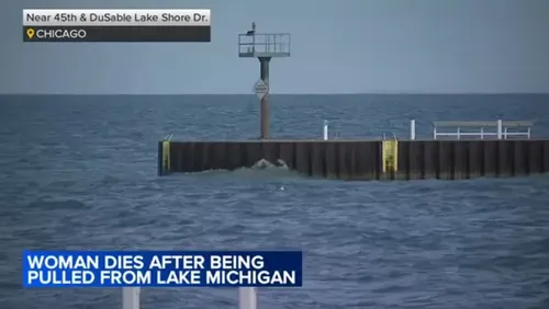 Woman Dies After Being Pulled From Lake Michigan in Chicago