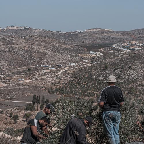 UK, France and Canada Ban Imports From Israeli Settlements in West Bank