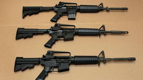 University of Chicago Doctors Back Illinois Bill Targeting Gun Manufacturers