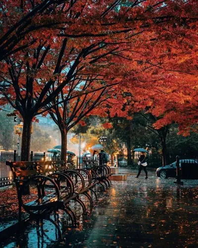 NYC Issues Multi-Day Travel Advisory and Coastal Flood Watch Ahead of Autumn Nor'easter