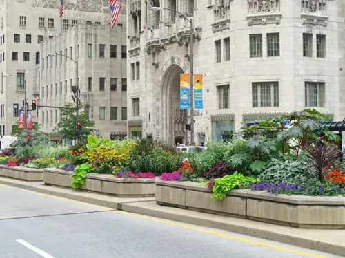 Chicago Activates Dedicated Michigan Avenue Bus Lane as United Yards Delivers 51 Affordable South Side Homes