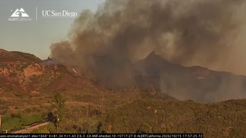 Fire Strike Teams Secure Containment on Malibu Bryson Blaze as L.A. County Health Issues Urgent Alert on Novel Synthetic Opioid