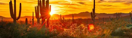 Phoenix Prepares $2 'PHXLink' Microtransit Ahead of October 26 Launch as State AG Convenes Ahwatukee Data Center Forum